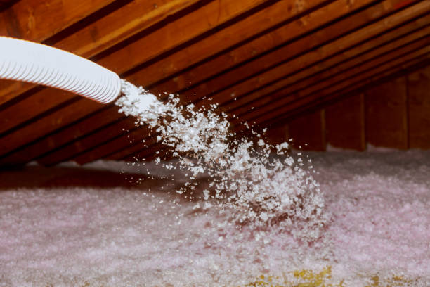 Best Batt and Roll Insulation  in Valley City, ND